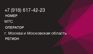 9166174223